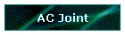 AC Joint