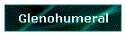 Glenohumeral