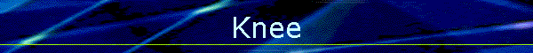 Knee